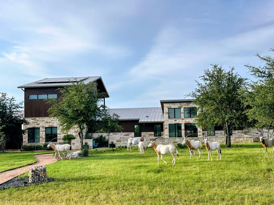 Black Buck Cove — Workshop No. 5, Austin